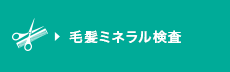 毛髪ミネラル検査